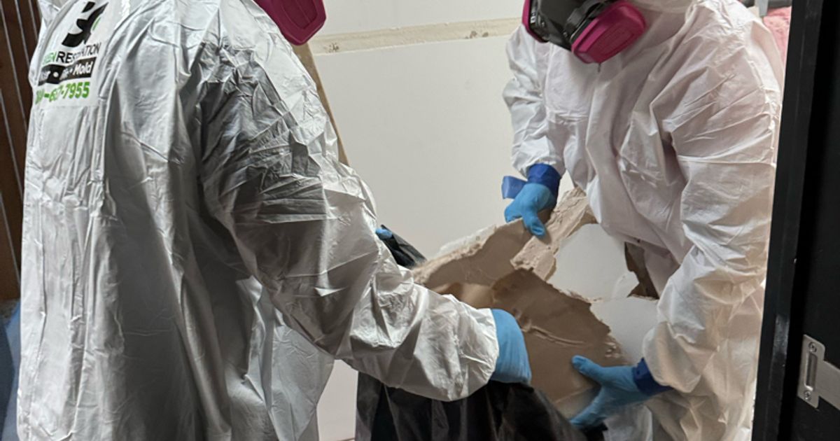 mold restoration work by Go Green Restoration