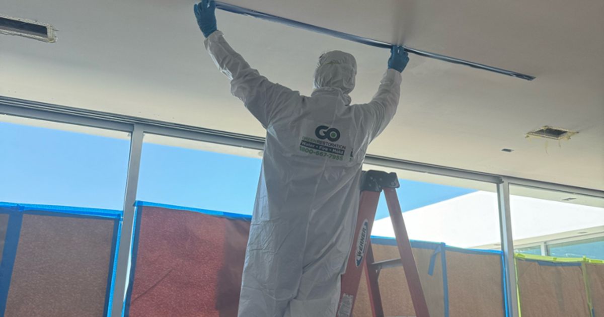 mold restoration work by Go Green Restoration