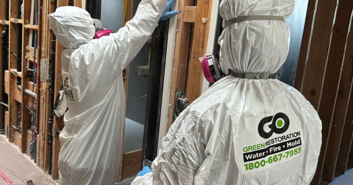 mold restoration work by Go Green Restoration