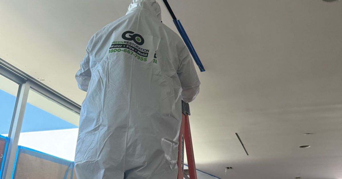 mold restoration work by Go Green Restoration