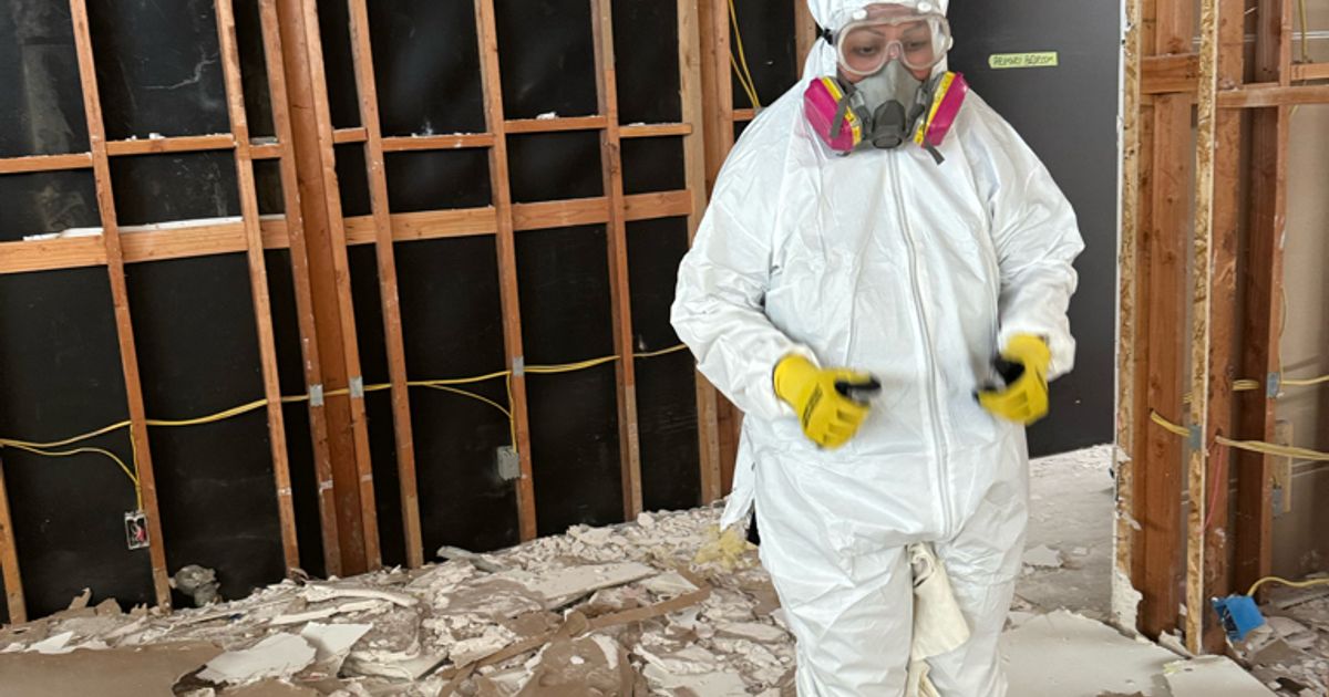 mold restoration work by Go Green Restoration