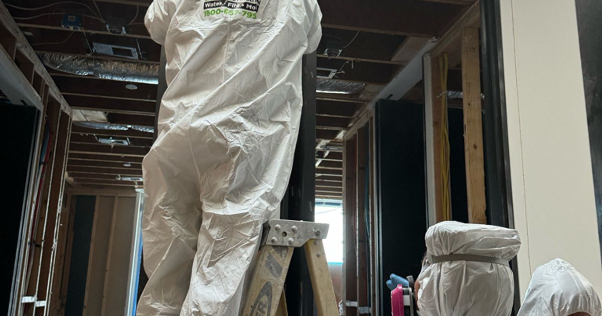 mold restoration work by Go Green Restoration