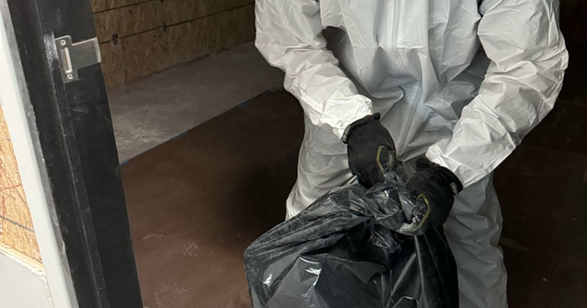 mold restoration work by Go Green Restoration