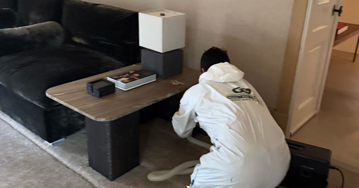 fire damage restoration work by Go Green Restoration