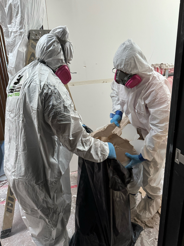 Professional mold removal process