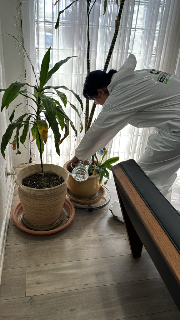 Go Green technician performing property inspection